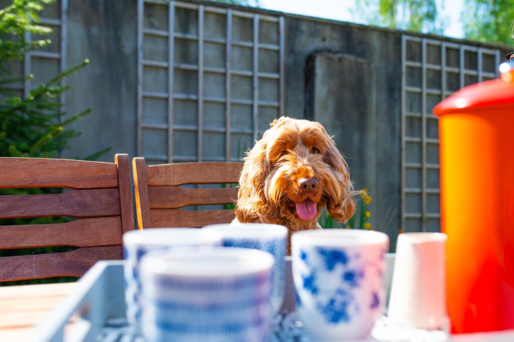 Award-winning Media team on EVERY Listing_9