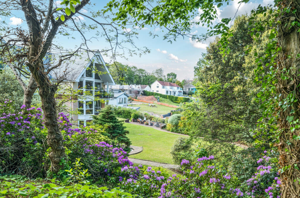 1295902-1-682b65e...