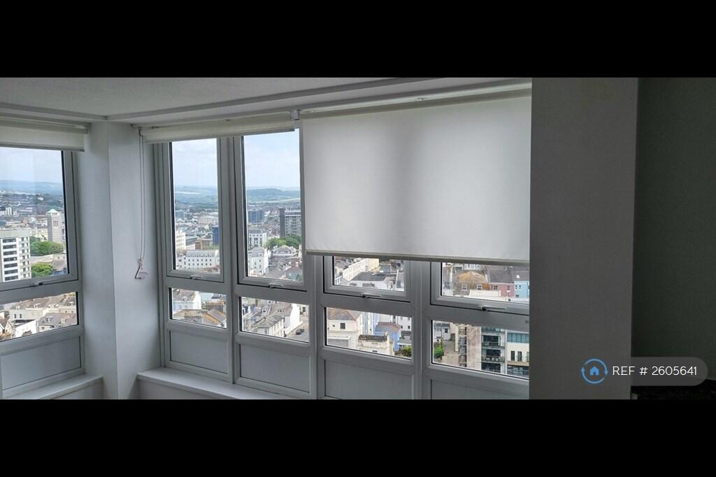 New Blinds