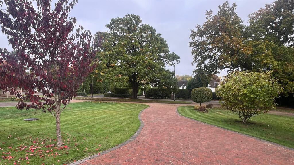 IMG_3116 (Large).jpeg