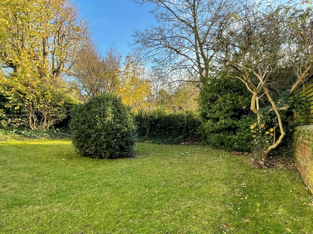 Communal Garden