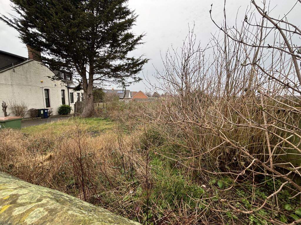 IMG 1915 T202503071143.jpeg