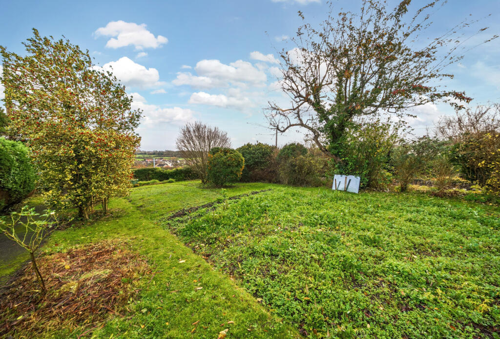 1386330-3-69384cf...