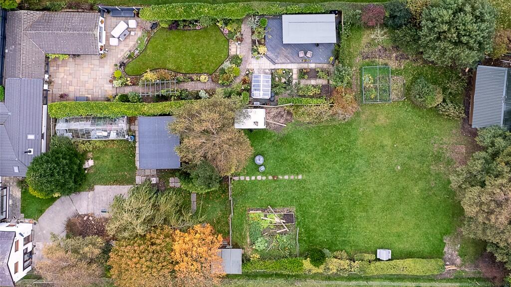 Aerial 