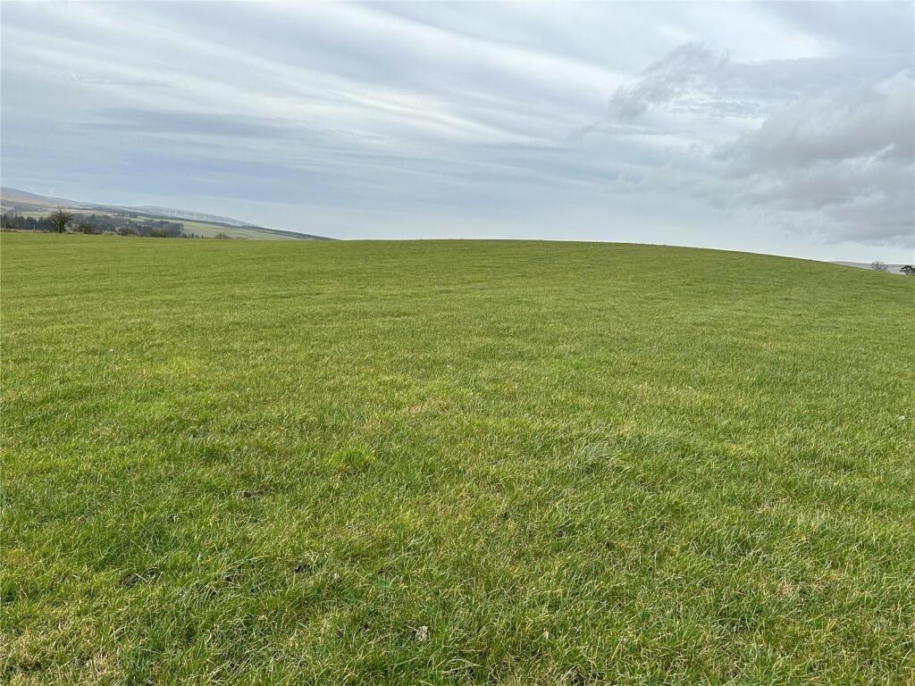 Silage Land