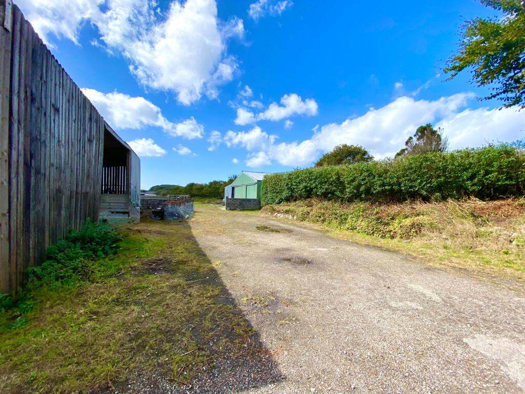 Paddock/Land