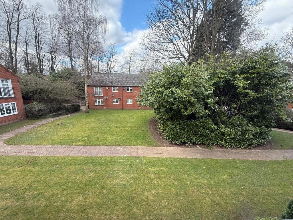 WhatsApp Image 20...