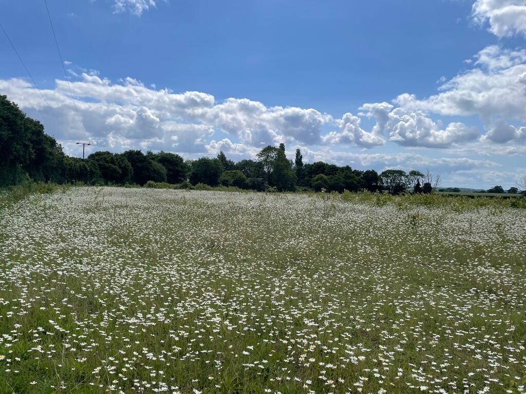 Farmland at Temple End & Mill Road, Foxearth, Essex, CO10