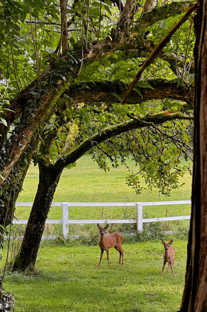 275530 - 20240906-IMG_7797_HI_RES.JPG