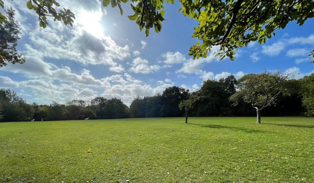 Field to the rear.jpg