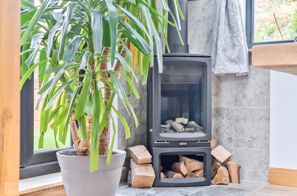Gas Stove