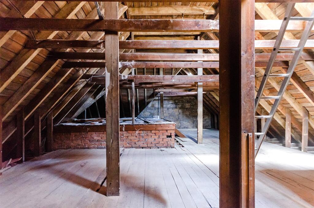 Loft Potential
