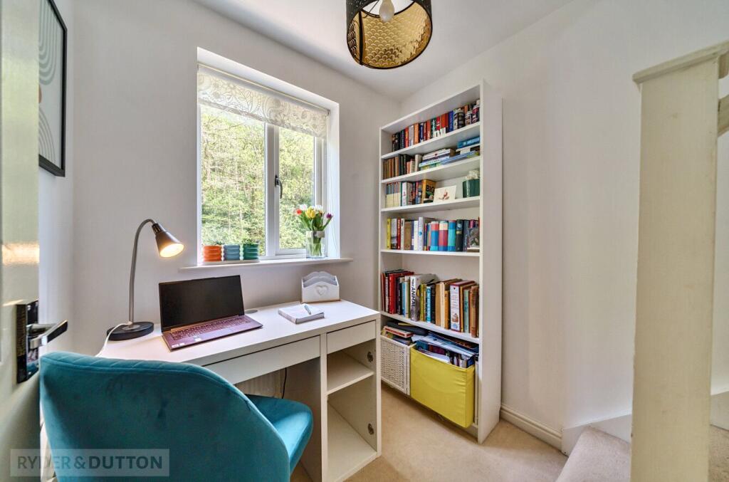 Study Area