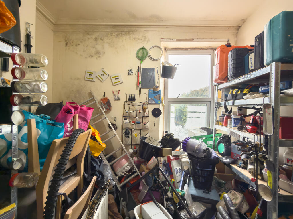 IMG 5397 T202510071944.jpg