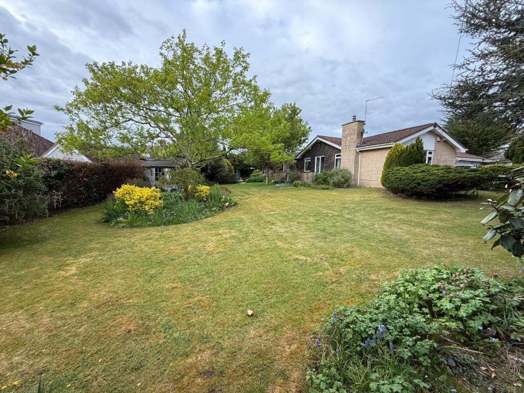 2 - garden.jpeg