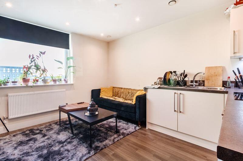 Kitchen/Living Area