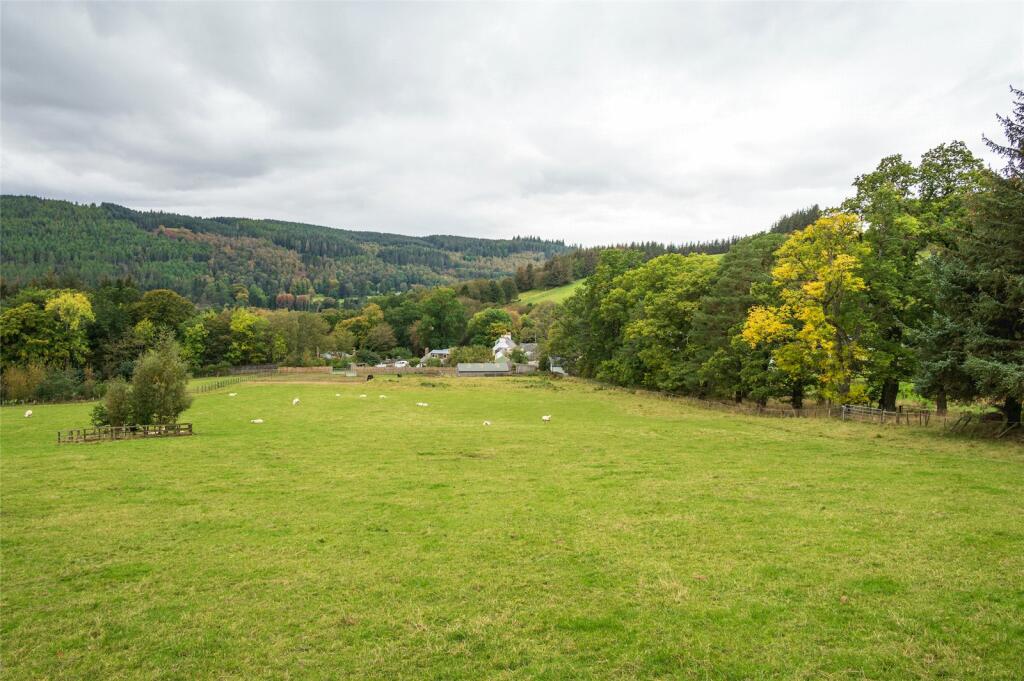 Field