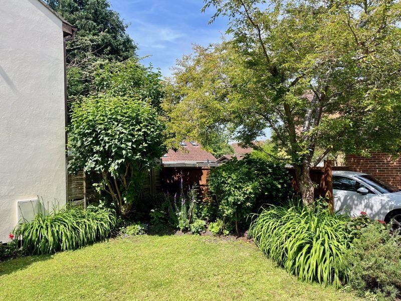 The Garden