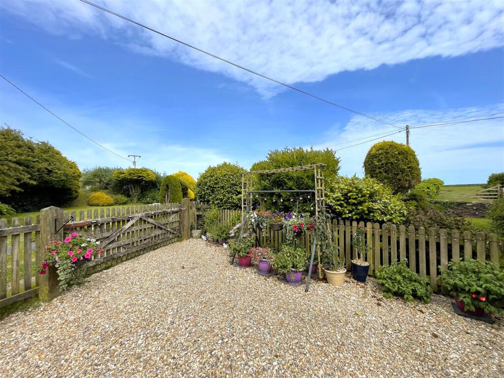 Garden 6.jpg