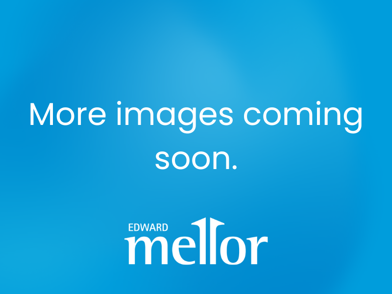 more Images Coming Soon (5).png