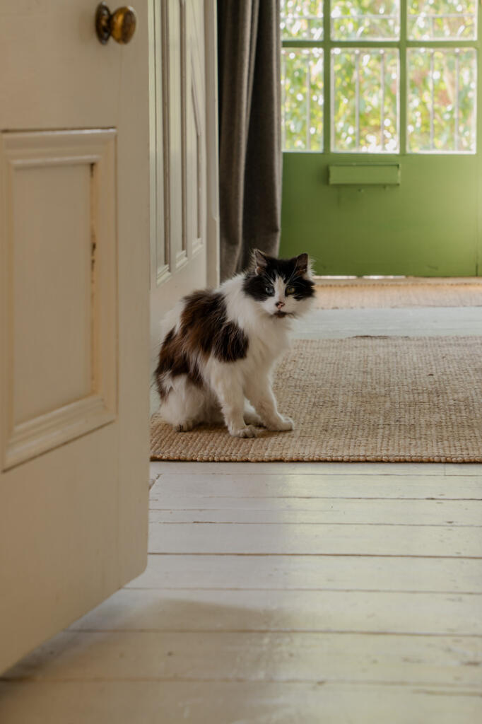 286801 - _A740987.jpg