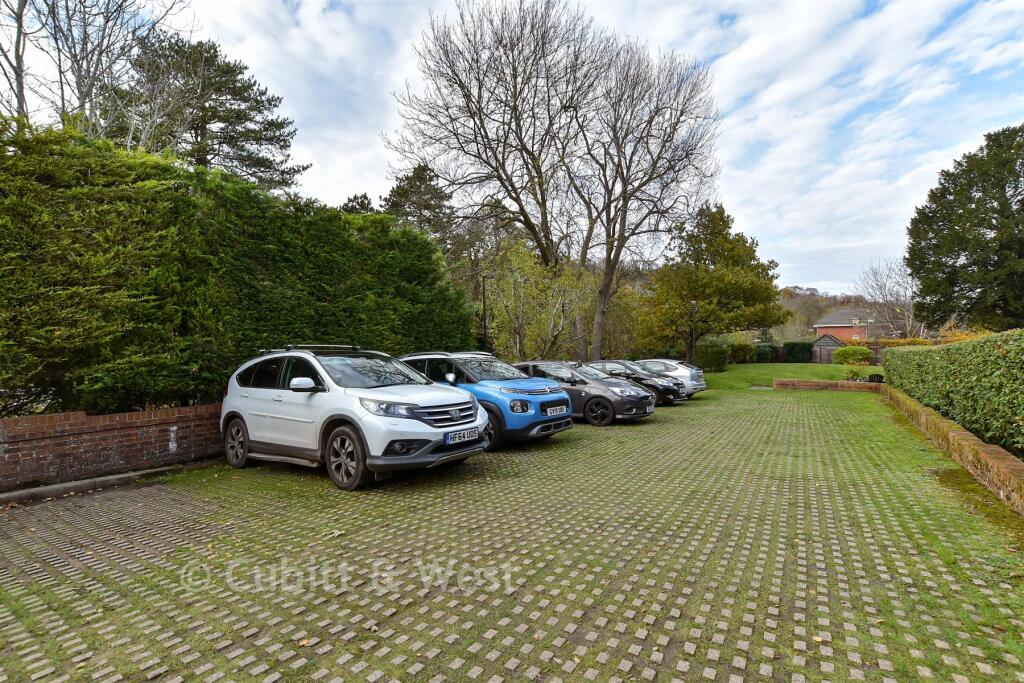 Driveway/Parking