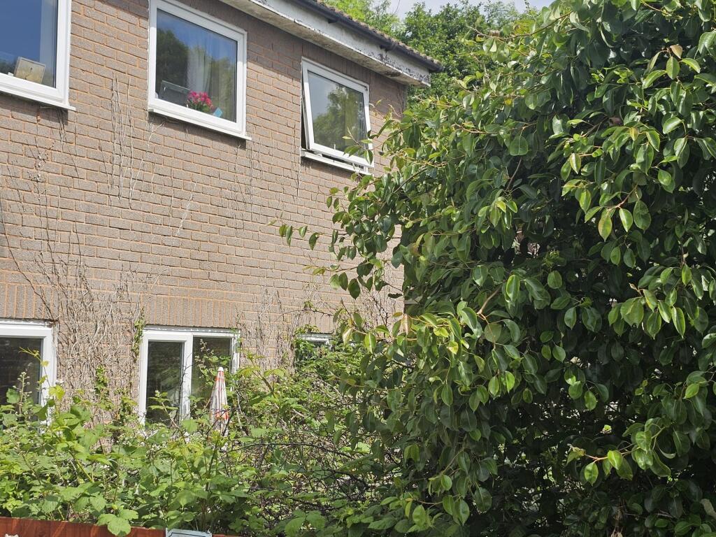 Image00001 T202505261814.jpeg