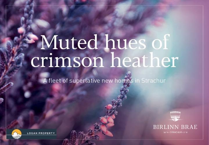 Muted hates of crimson heather.jpeg