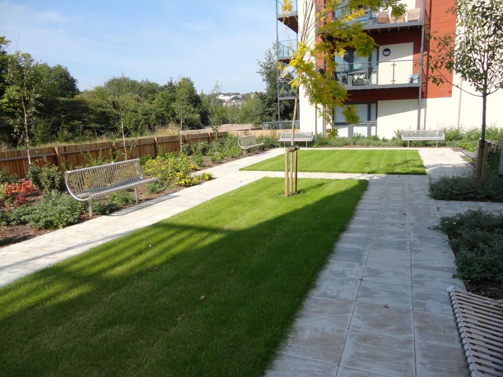 Photo 02