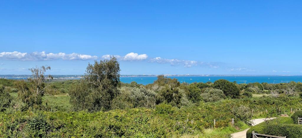 Panoramic View