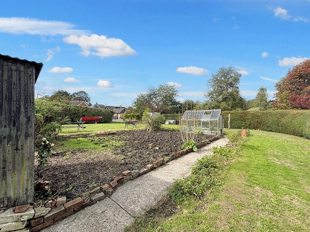 Garden 3.jpg