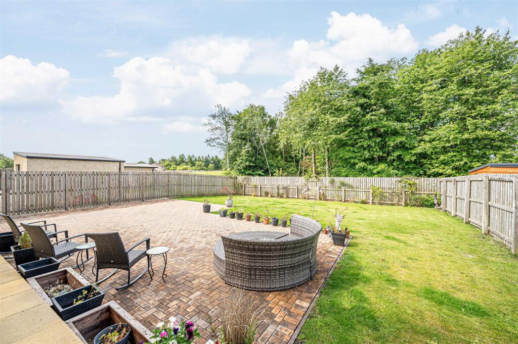 untitled (22 of 1).JPG