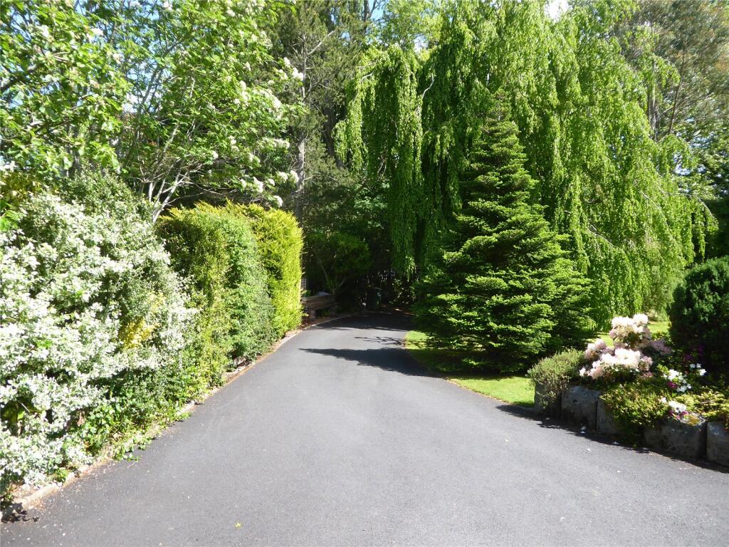 Driveway