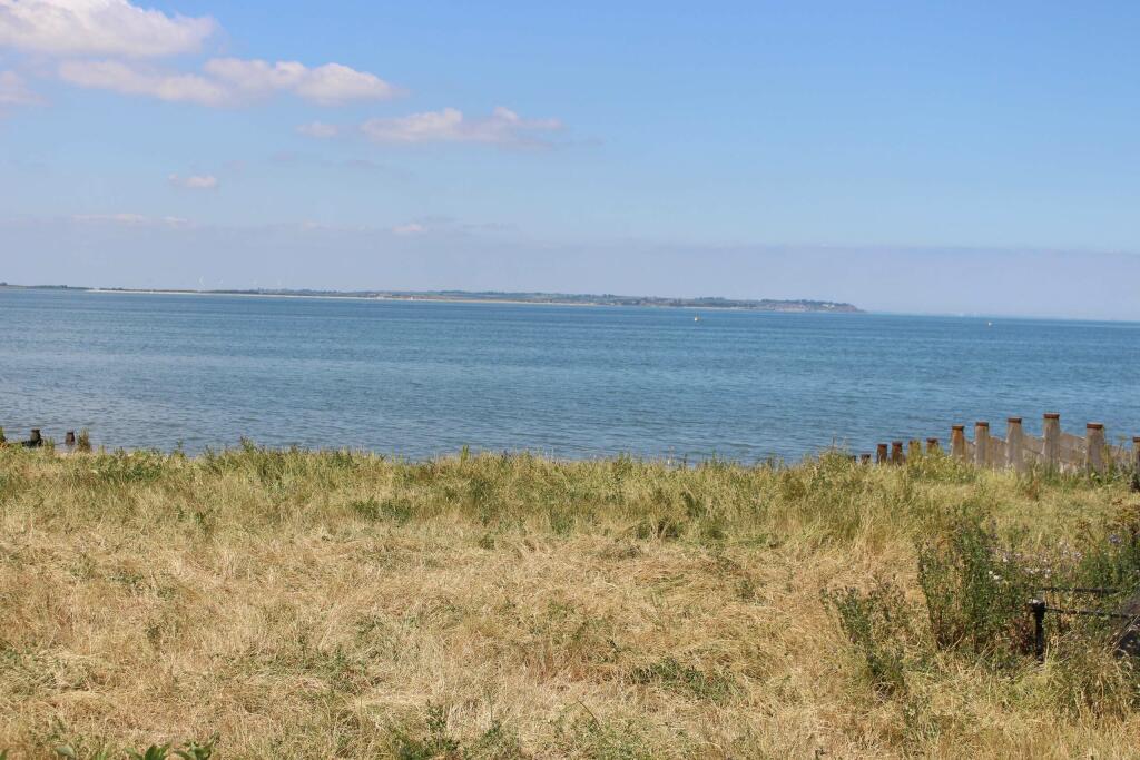 IMG_2113-min.JPG