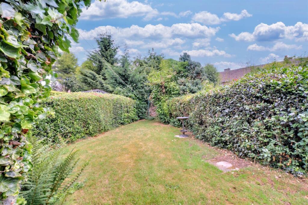 Back Garden_1.jpeg