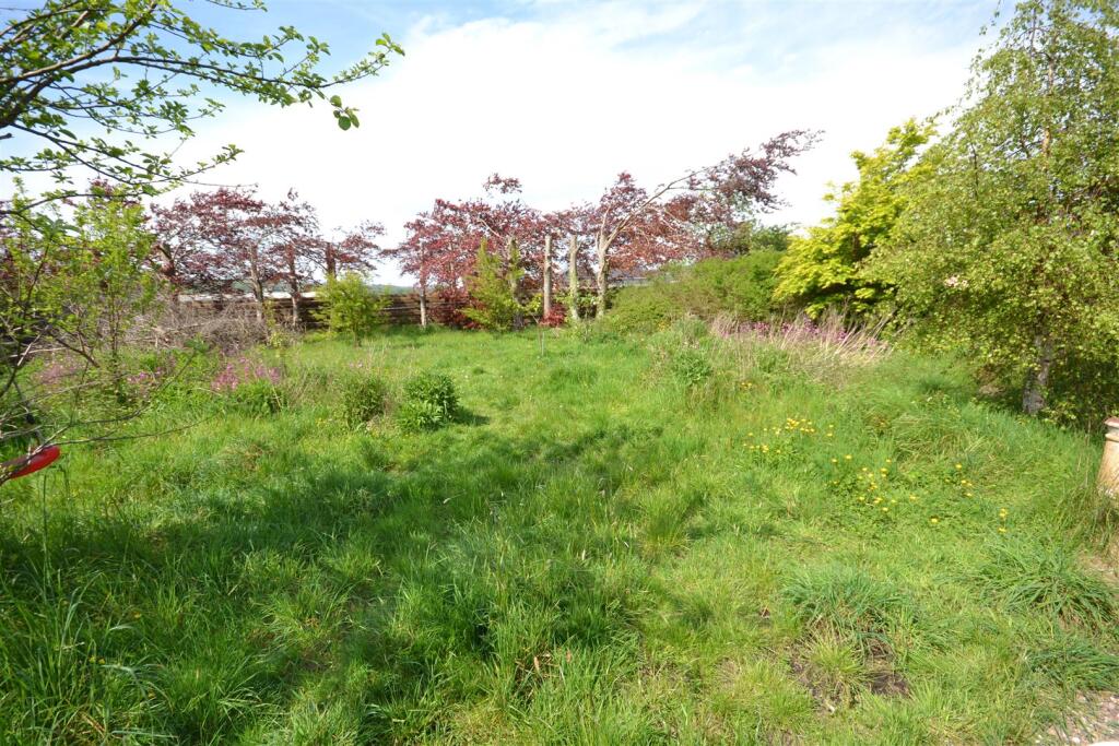 DSC_0014 - Copy.JPG