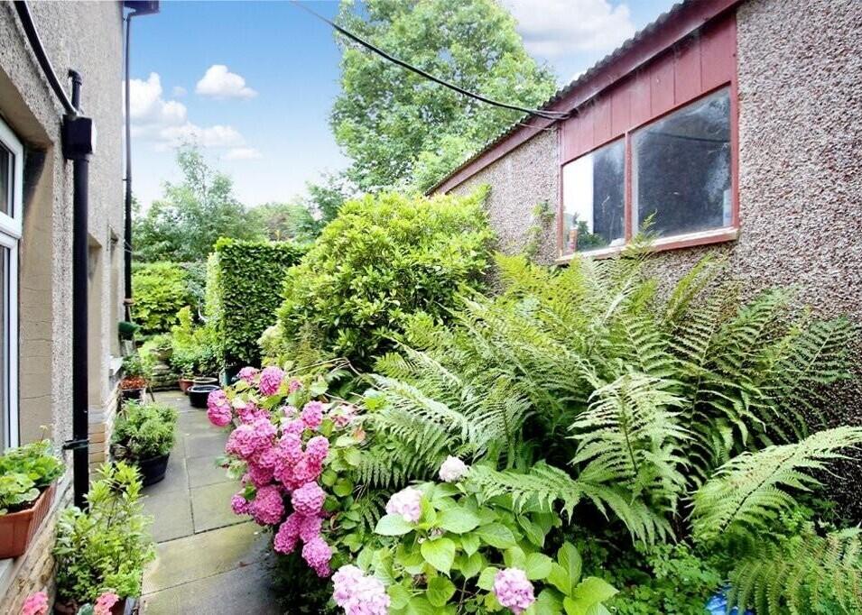 51562_100365003037_IMG_20_0000