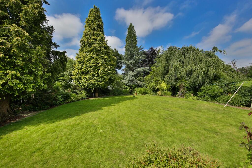 Garden.jpg