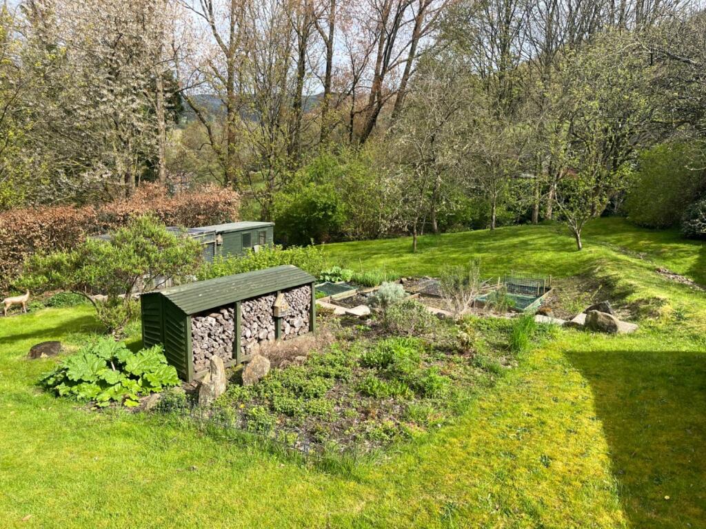 Vegetable Garden and Wood Store