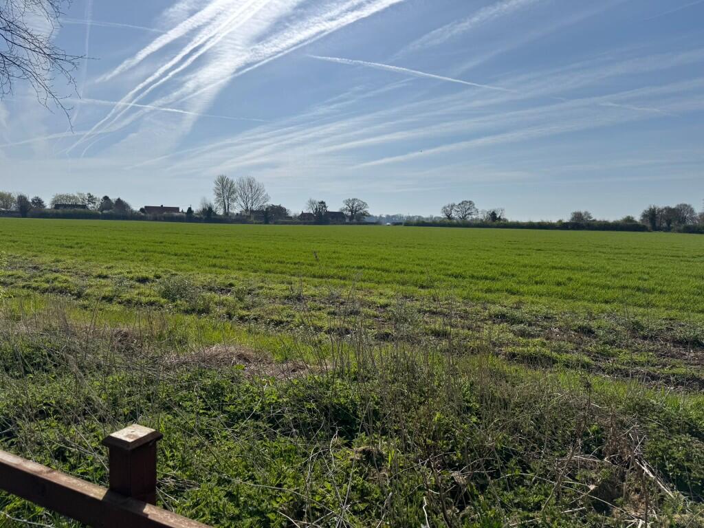 Field View