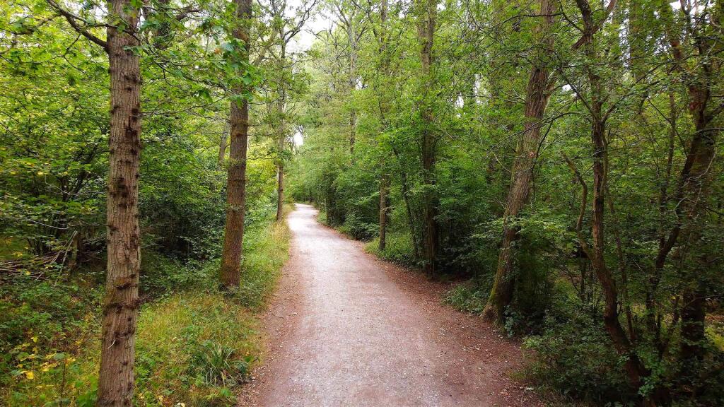 133 Overdale still5.jpg