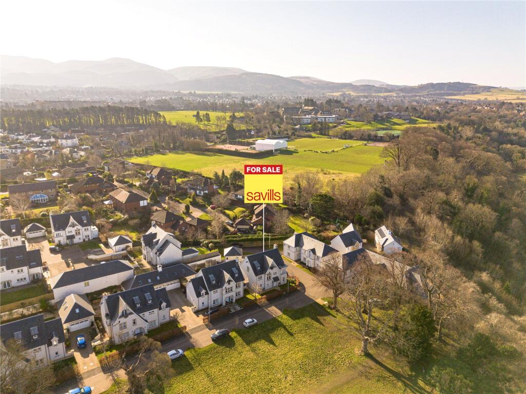 Drone View