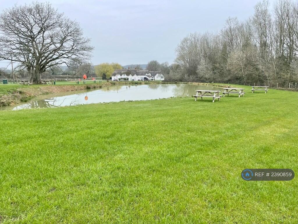 Lake In Picnic Area