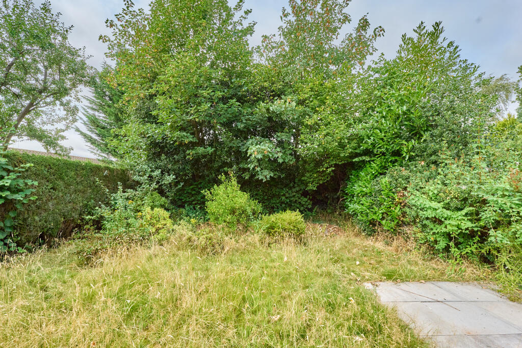 P1518589 T202508071858.jpg