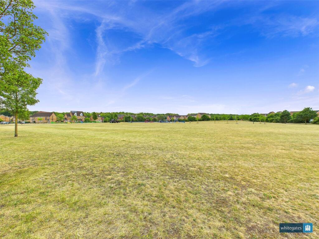 Park/Field