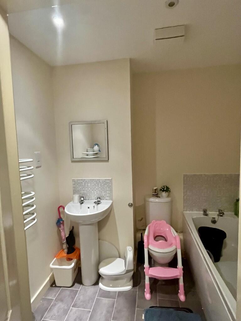 image5 (5)