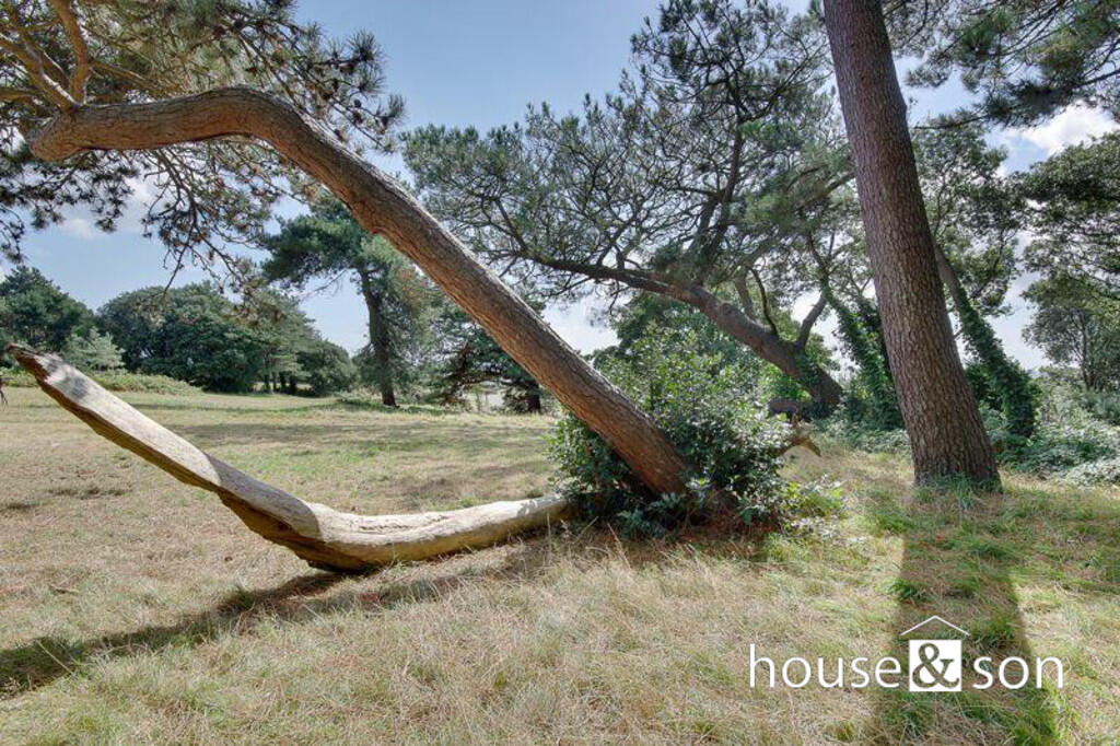 110540_12506565_I...