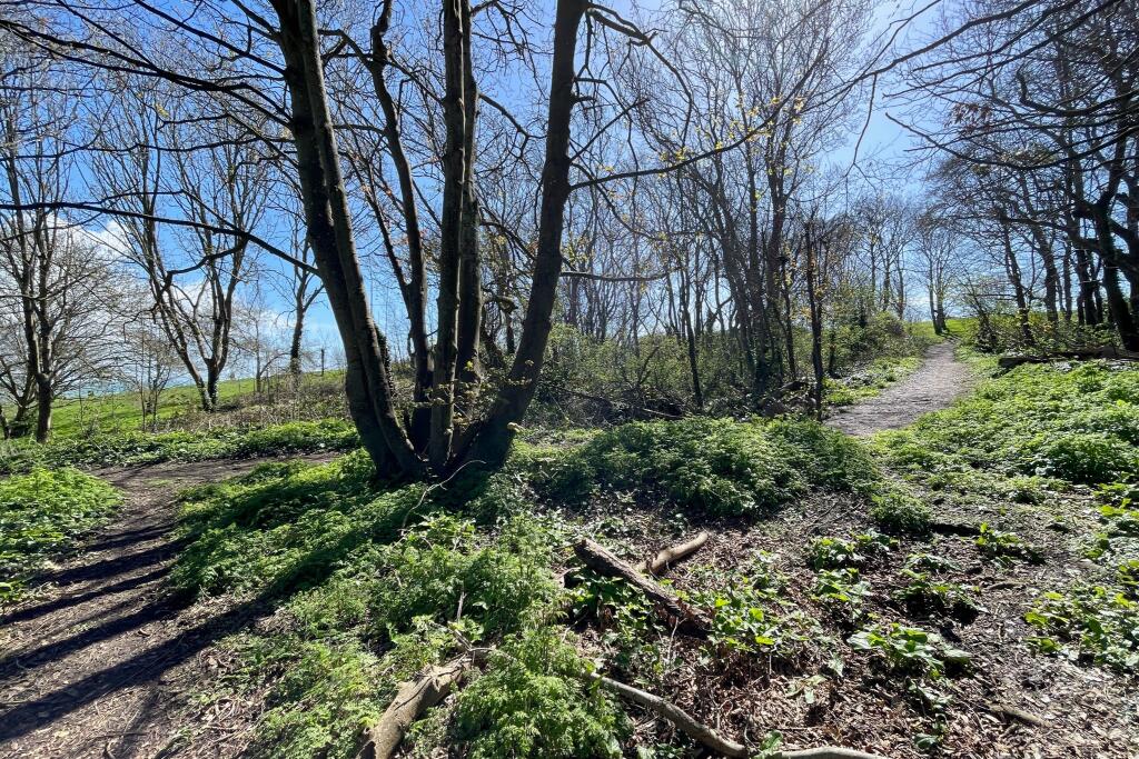 Adjoining open country