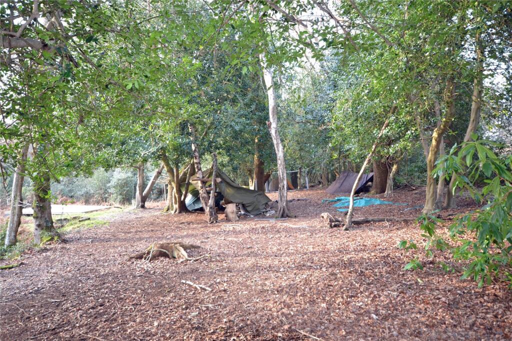Cloisters Wood