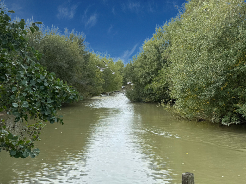 Jetty for Fishing